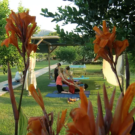 Hotel Sedir - Rooms, &