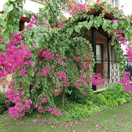 Sedir - Rooms, & Hotel Dalyan