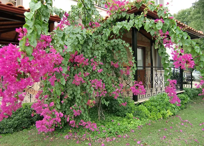 Sedir - Rooms, & Ξενοδοχείο Dalyan